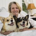 Can Dog Food Pose Risks to Cats and Humans?