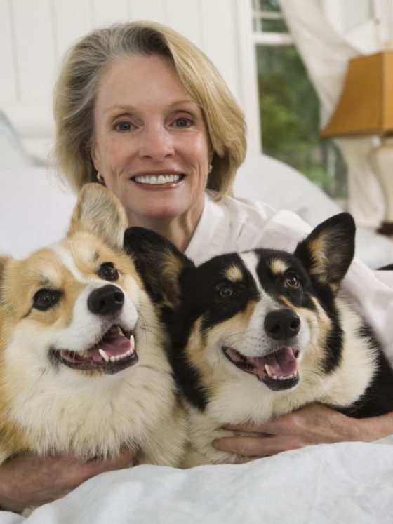 Can Dog Food Pose Risks to Cats and Humans?