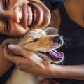 Dog Breeds with the Longest and Shortest Sleep Patterns