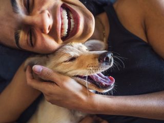 Dog Breeds with the Longest and Shortest Sleep Patterns