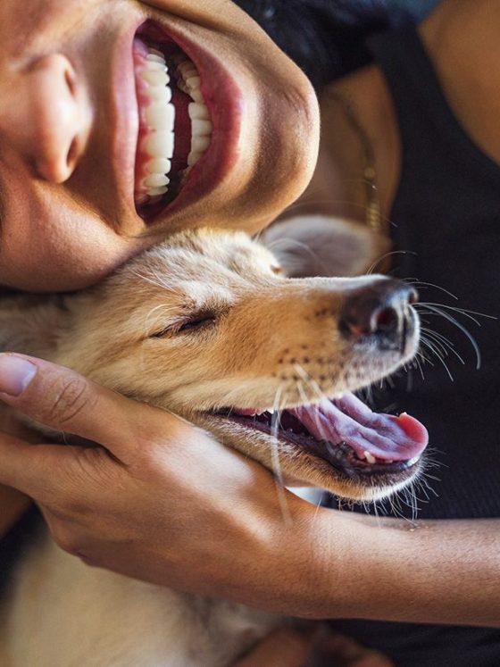 Dog Breeds with the Longest and Shortest Sleep Patterns