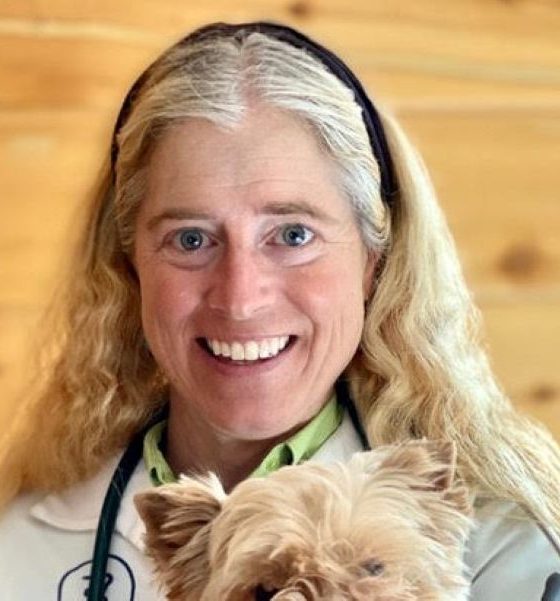 Hematuria in Dogs: Diagnosis, Treatment, and Potential Effects on Canine Health