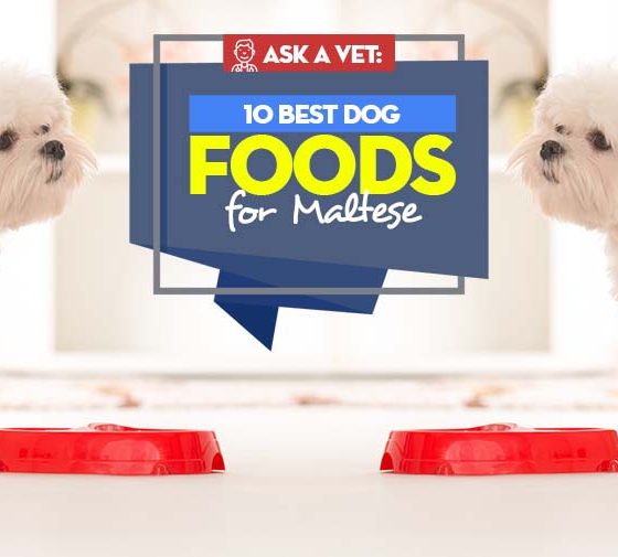 Dietary Habits in Malta