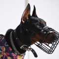 Proper Usage of Dog Muzzles: Importance, Necessity, and Guidelines